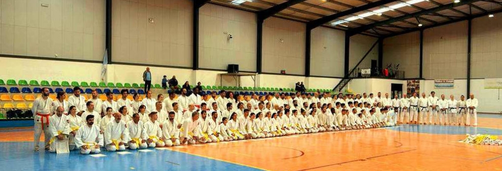 Seminário graduação Amarelo e Laranja Novembro 2023